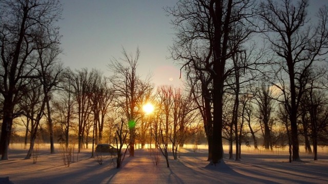 IMG_20140109_083011_722